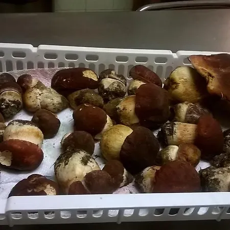 Belandin Ristorante 2* טליו