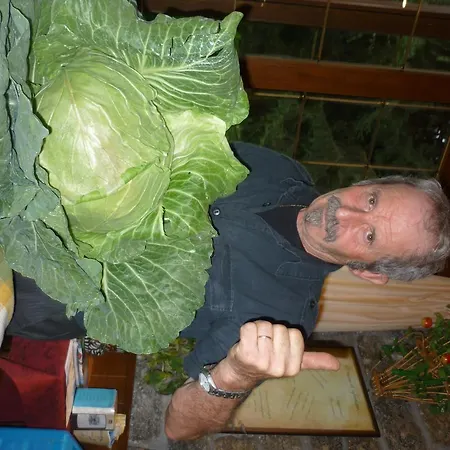 Belandin Ristorante Hotel Hotel